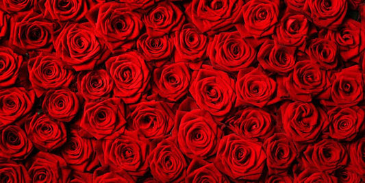Signification de la Rose Rouge
