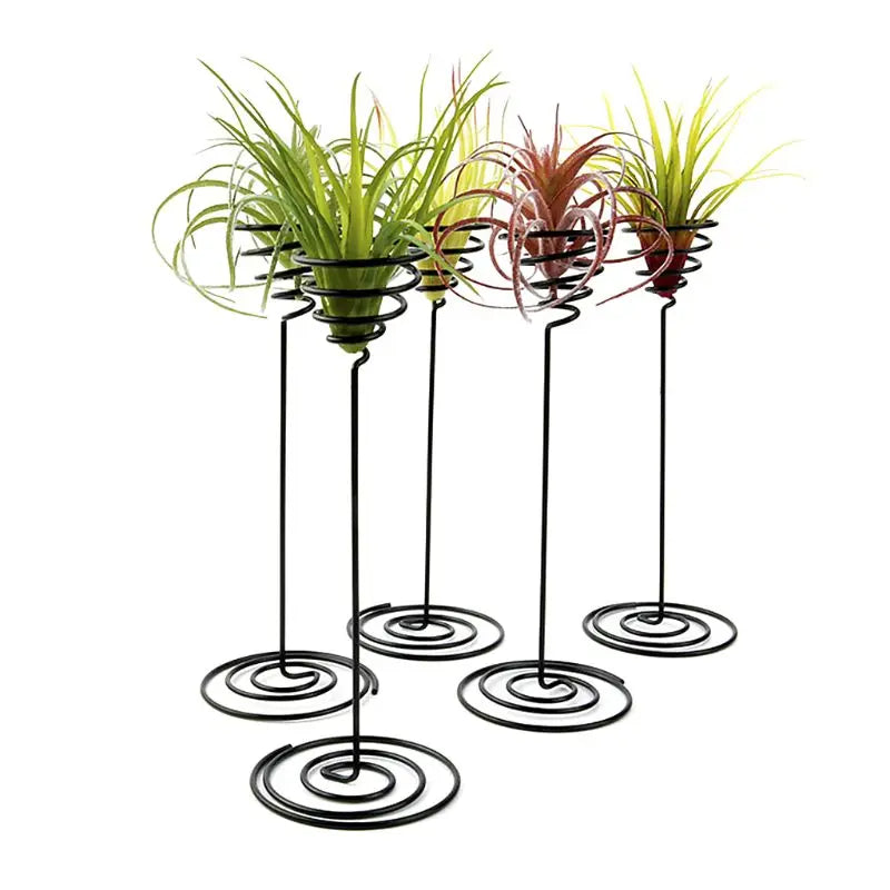 Vase sur Pied Noir