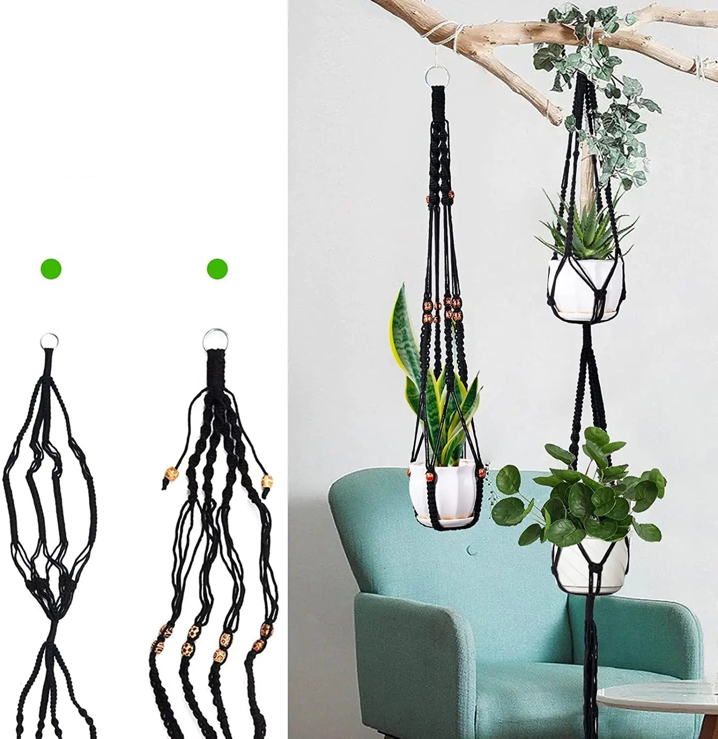 Support Plante à Suspendre