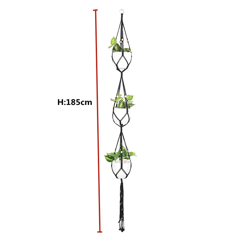 Support Plante à Suspendre