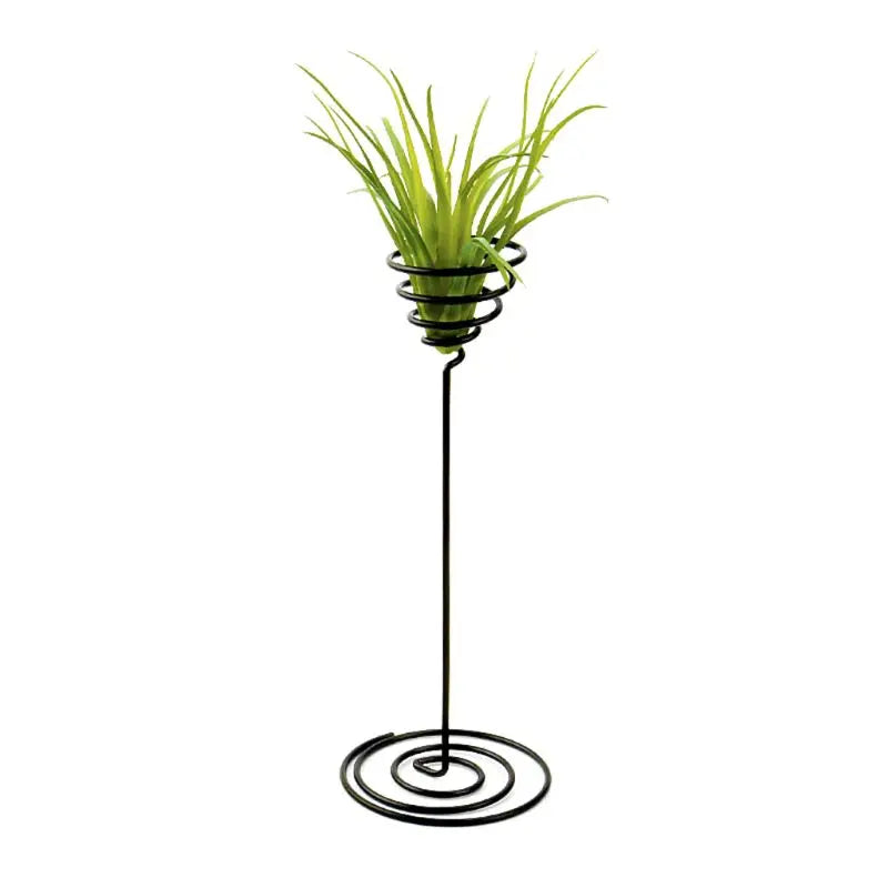 Vase sur Pied Noir