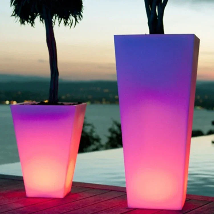 Bac Plante Lumineux