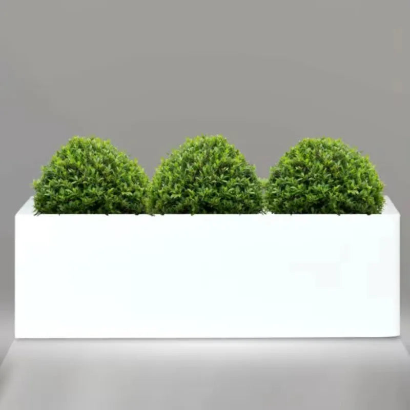 Jardinière Eclairée