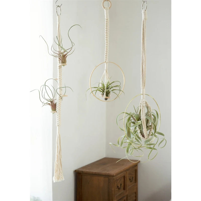 Suspension Macramé Plante