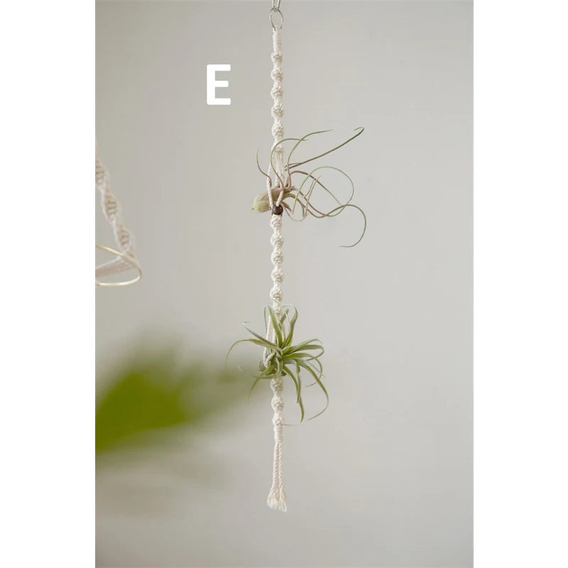 Suspension Macramé Plante
