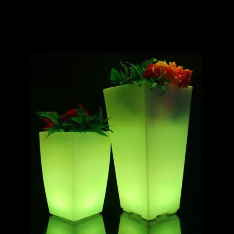 Bac Plante Lumineux