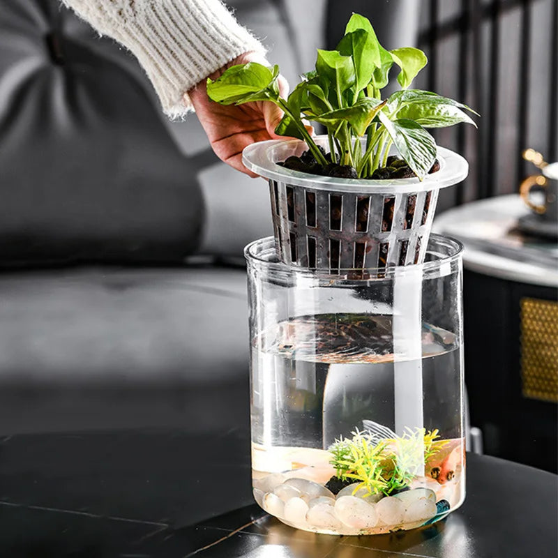 Vase Transparent original