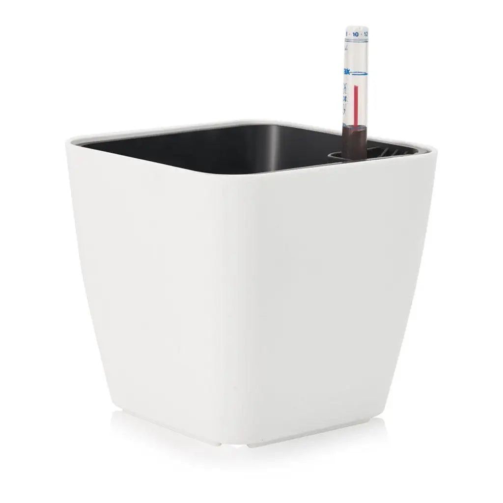Pot Plastique Blanc Plante