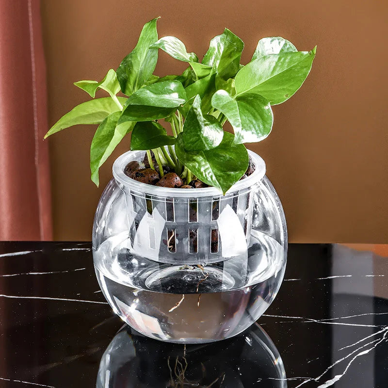 Vase Transparent original