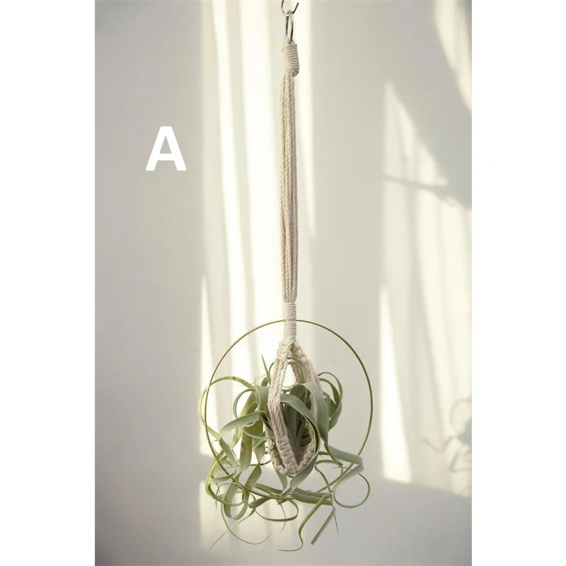 Suspension Macramé Plante