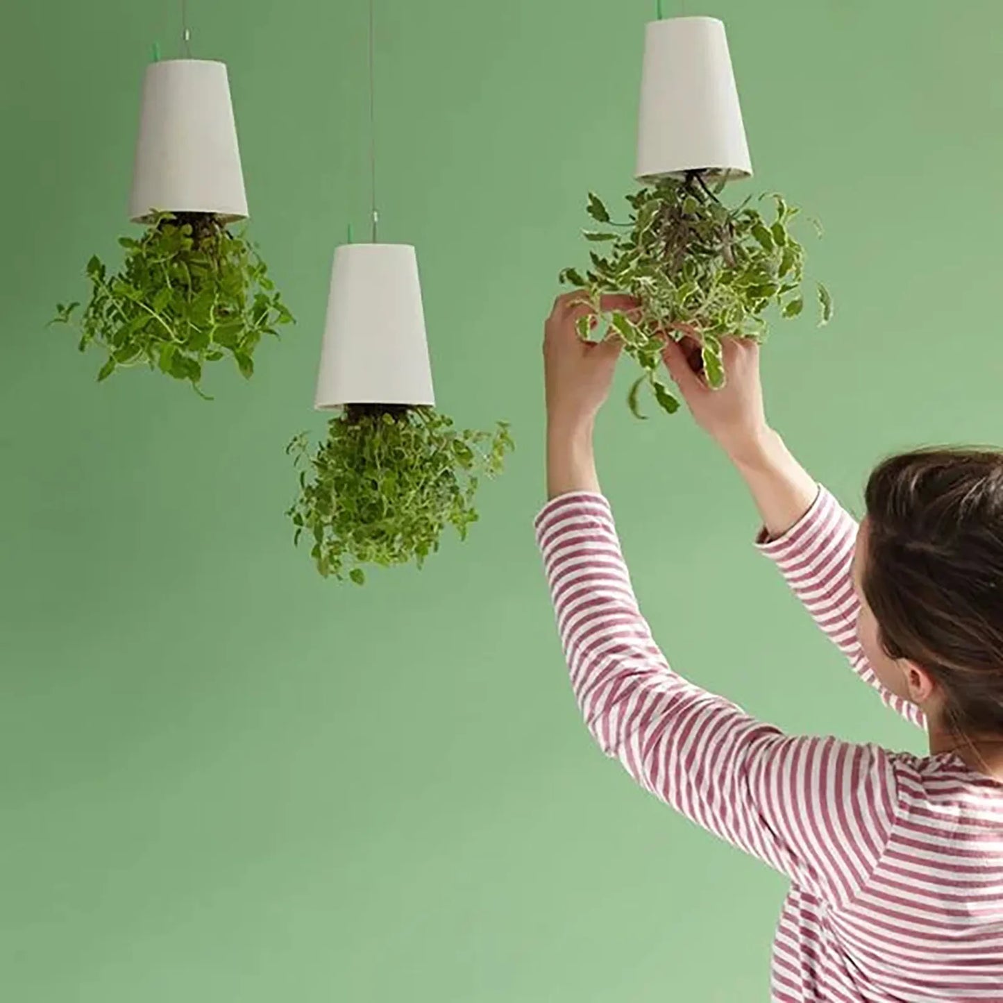 Pot de Fleurs suspendu à l'envers