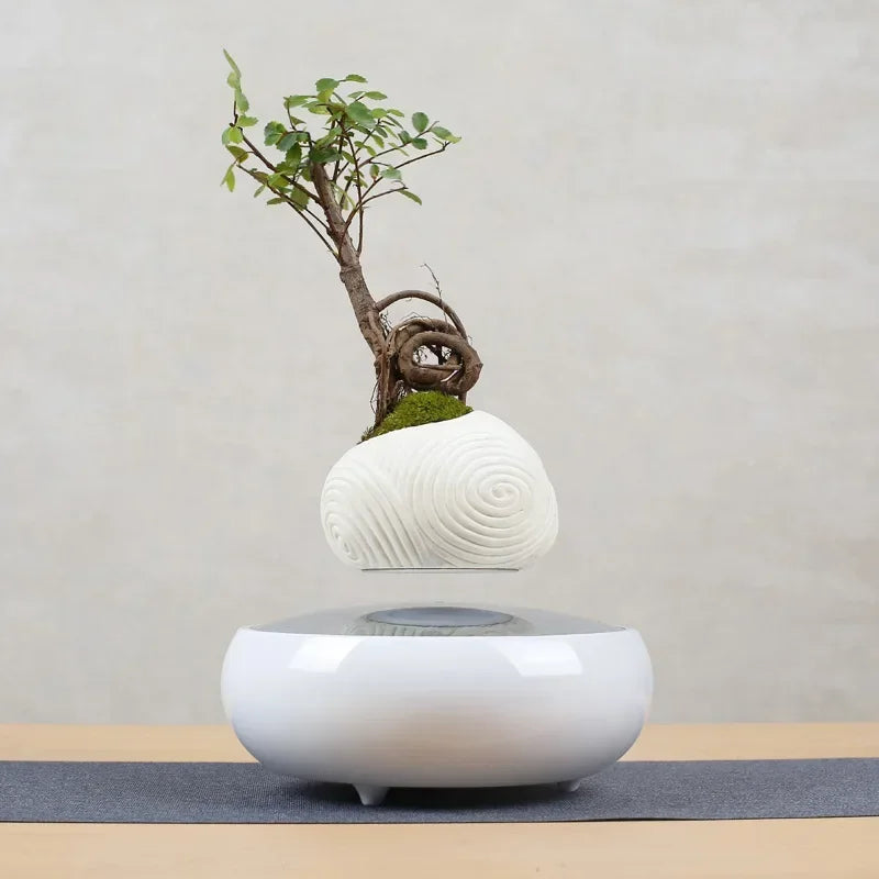 Pot de Plante En Lévitation