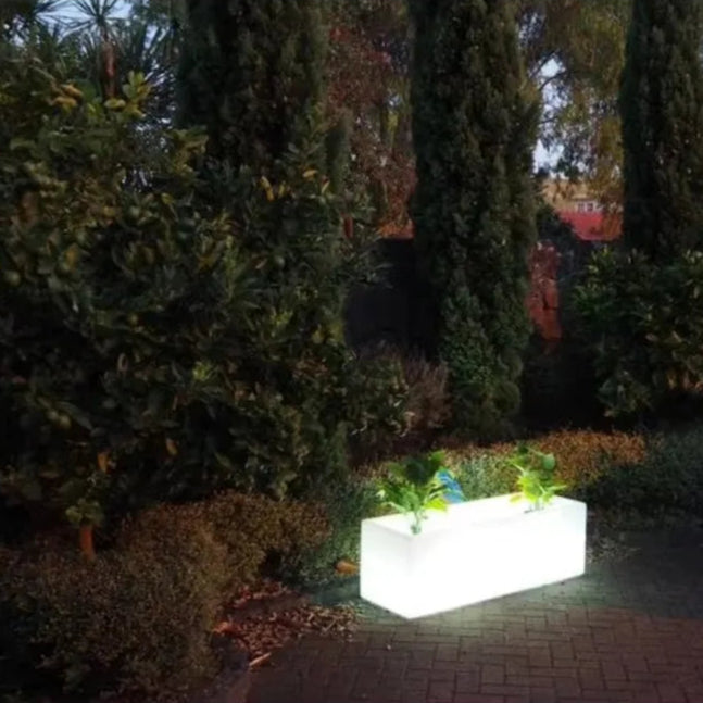 Jardinière Eclairée
