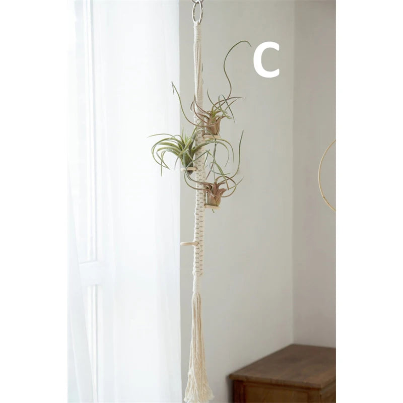 Suspension Macramé Plante