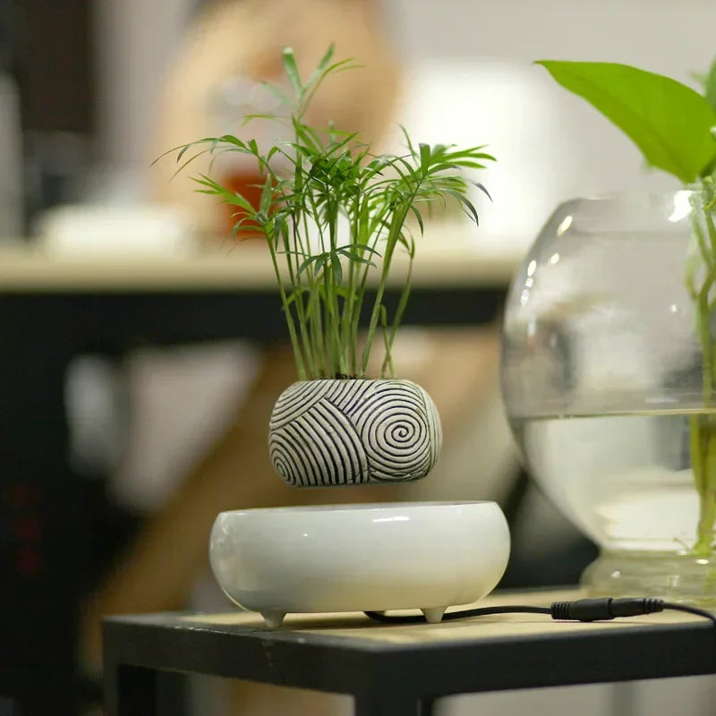 Pot de Plante En Lévitation