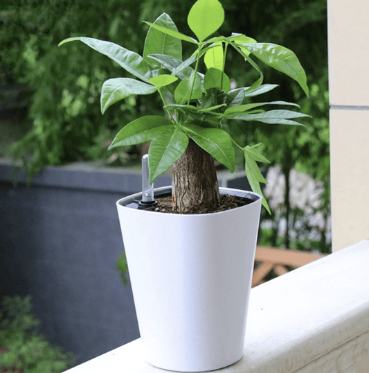 Pot de Fleurs Extérieur Pot Plastique Blanc pour Plante