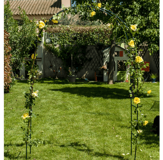 Arche de Jardin Arche Rosier Grimpant