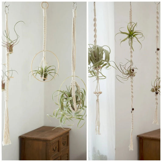 Suspension Macramé Plante