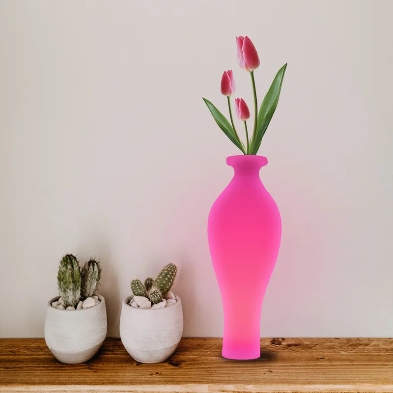 Vase Led Lumineux