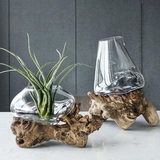 Vase Verre Soufflé et Bois Flotté