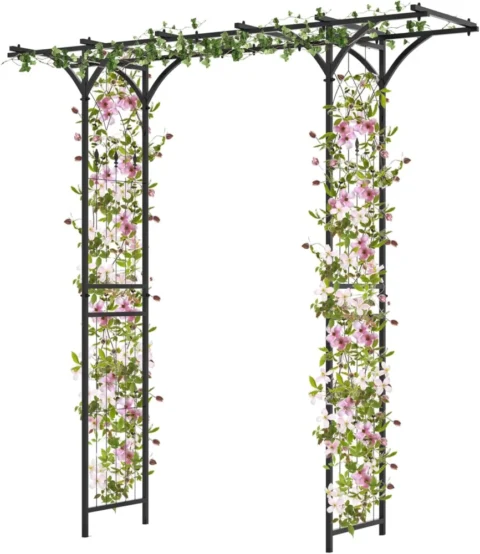 Arche de jardin en fer noir, sommet allongé