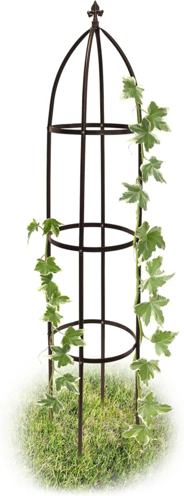 Arche de jardin pour rosiers en métal marron, 190 cm
