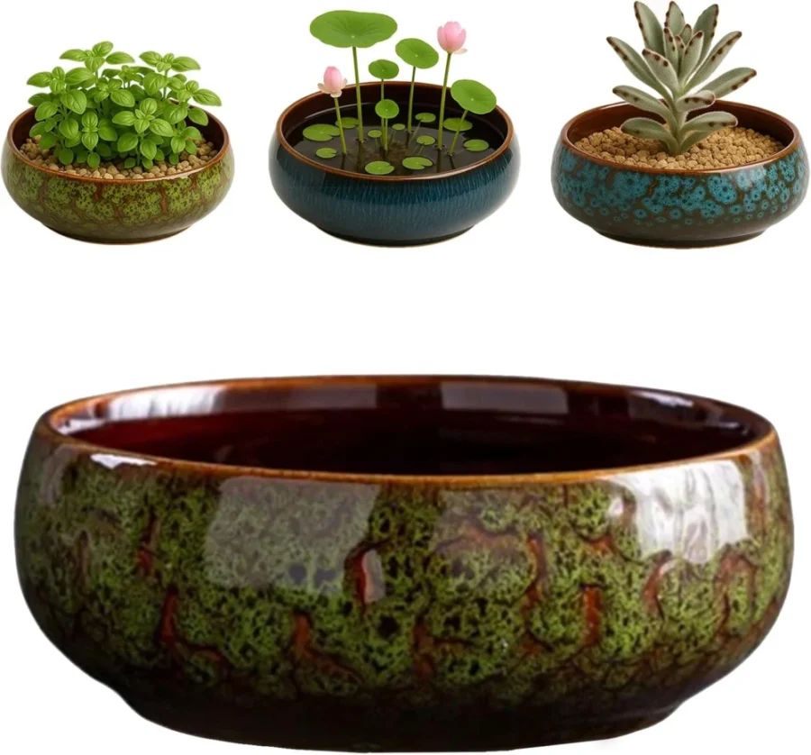 Bol de lotus en céramique verte pour plantes aquatiques