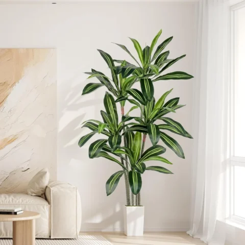 Dracaena artificiel 160 cm avec pot blanc