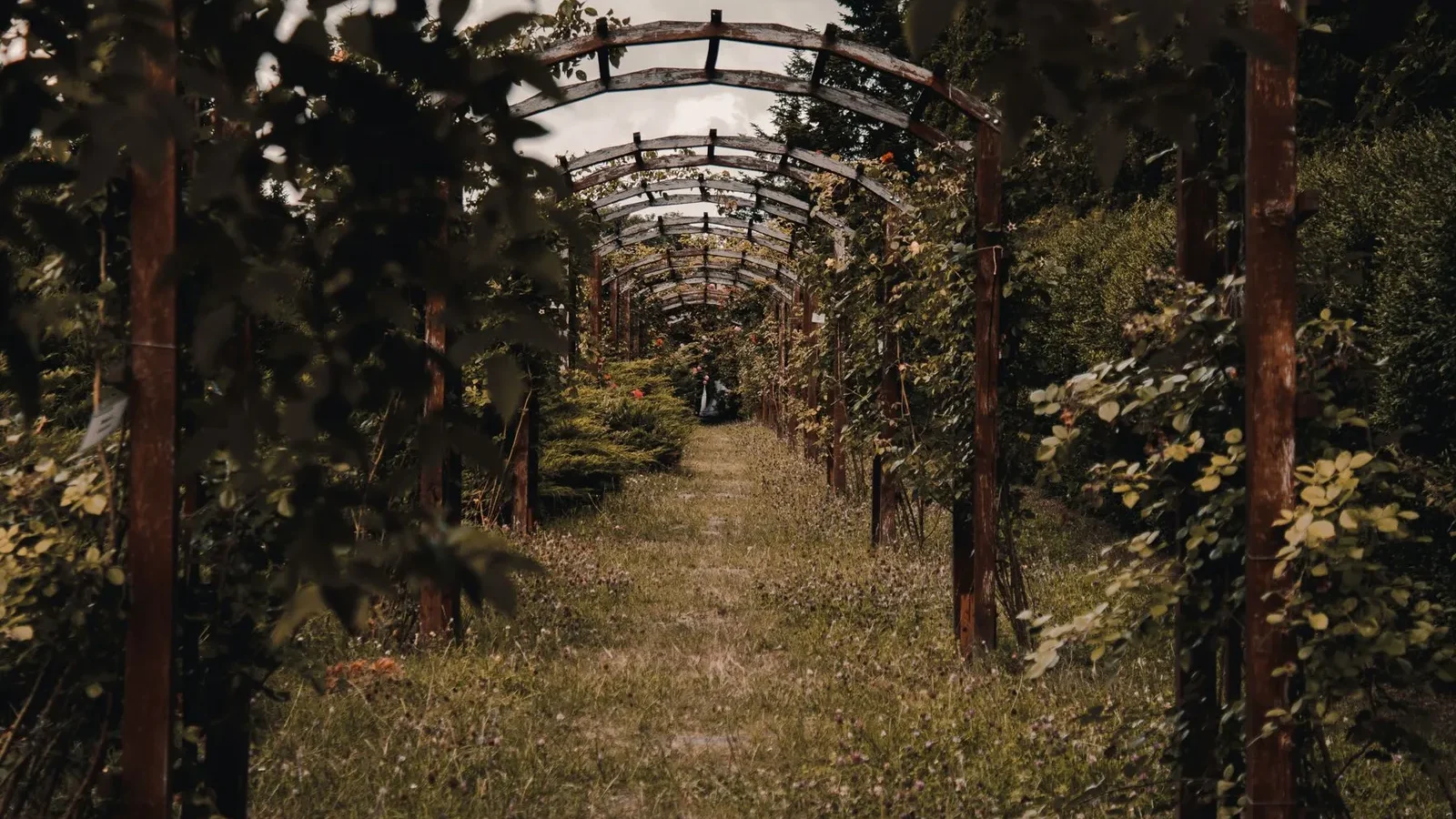 Allée de jardin passant sous des arches en bois