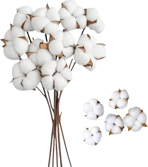 Fleurs de coton séchées avec tige, lot de 10, 42 cm