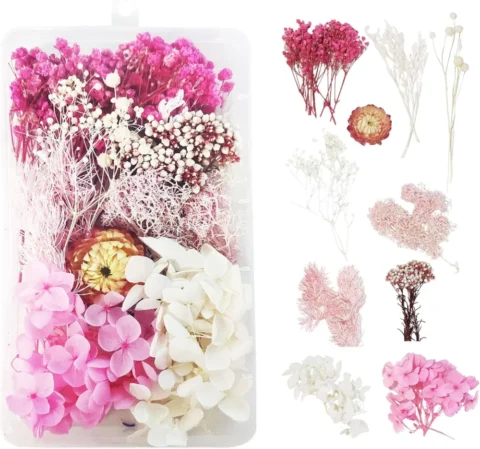 Fleurs séchées naturelles DIY, blanc, rose et violet