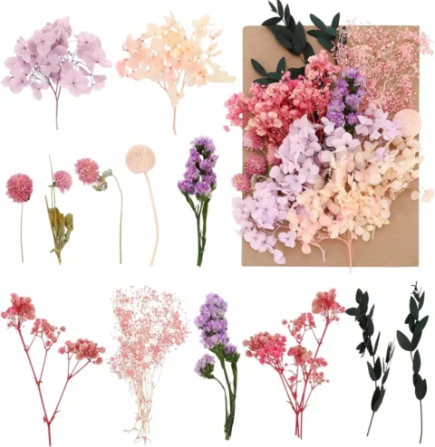 Fleurs séchées naturelles violettes et roses, DIY