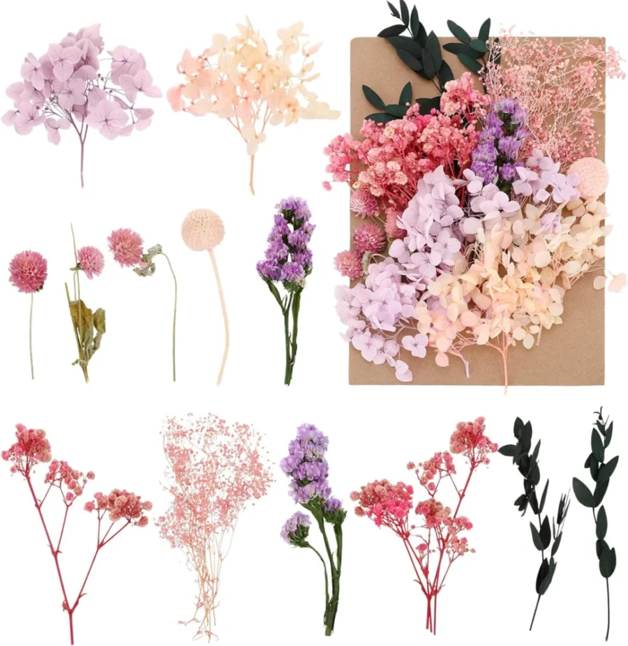 Fleurs séchées naturelles violettes et roses, DIY