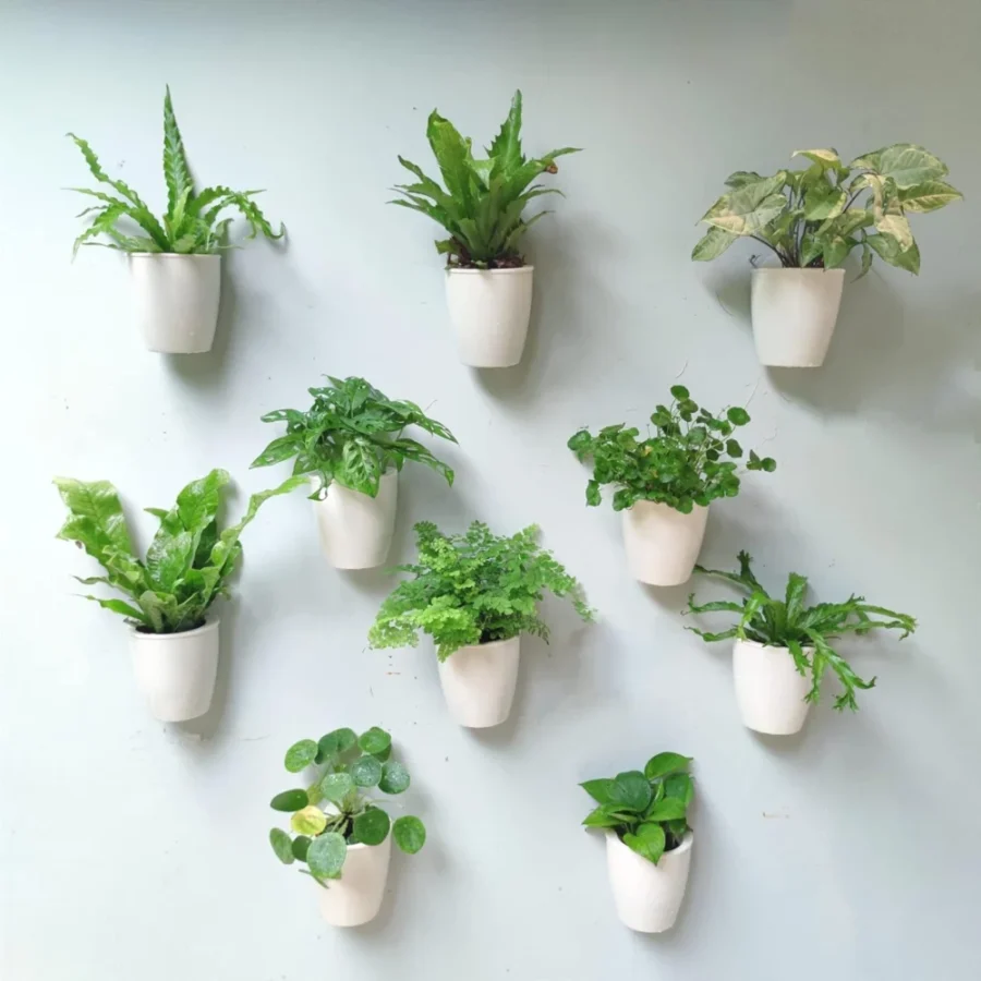 Lot de 10 petits pots muraux auto-arrosants blancs