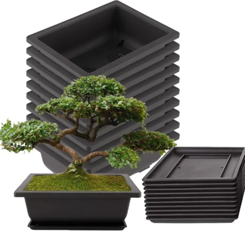 Lot de 10 pots à bonsaï rectangulaires noirs, 23 cm