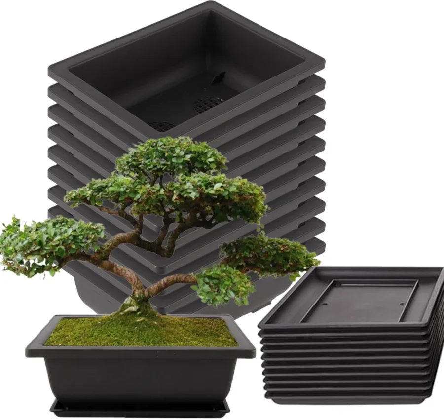 Lot de 10 pots à bonsaï rectangulaires noirs, 23 cm