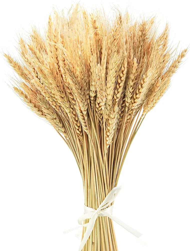 Lot de 100 tiges de blé séché naturel, 40 cm