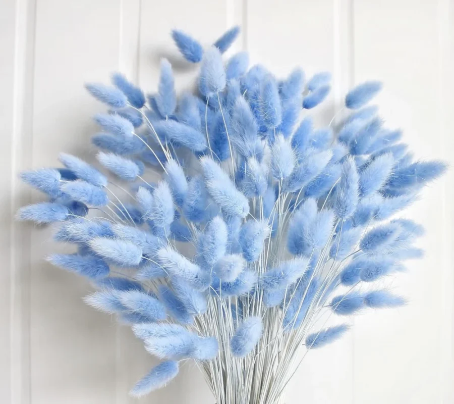 Lot de 120 herbes de la pampa séchées bleues, 43 cm