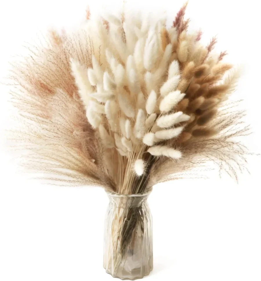 Lot de 185 tiges de pampa séchée, 42 cm, 5 teintes