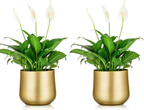 Lot de 2 pots de plante en métal doré, drainage