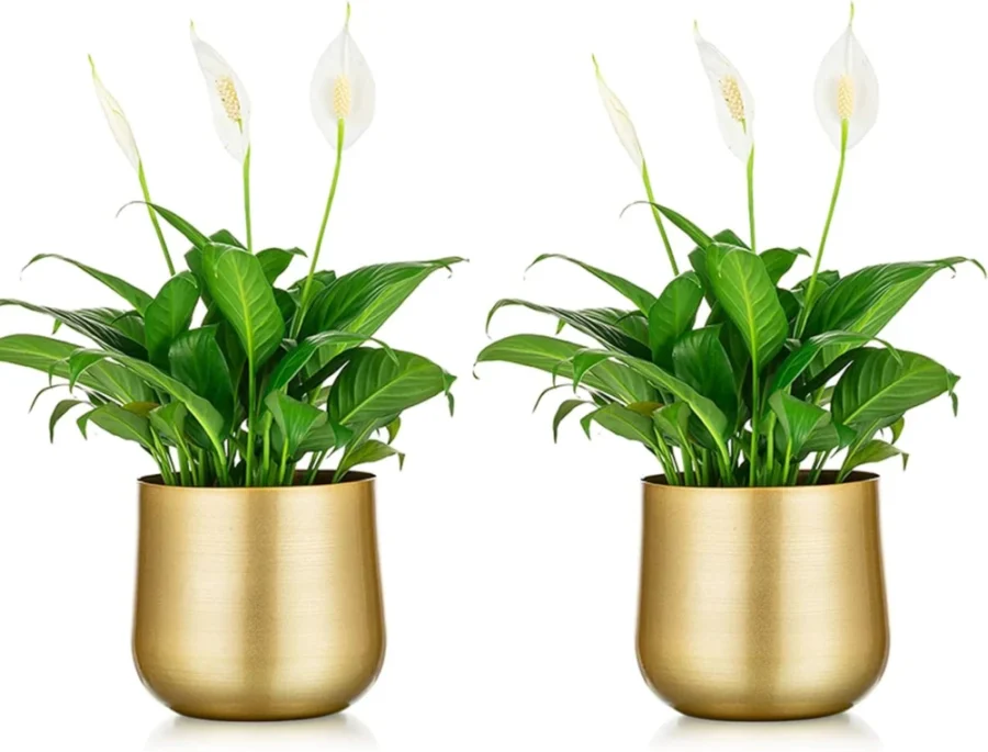 Lot de 2 pots de plante en métal doré, drainage
