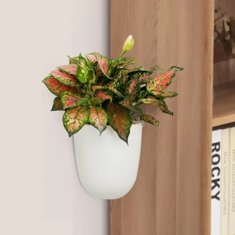 Lot de 2 pots muraux d’angle auto-arrosants blancs