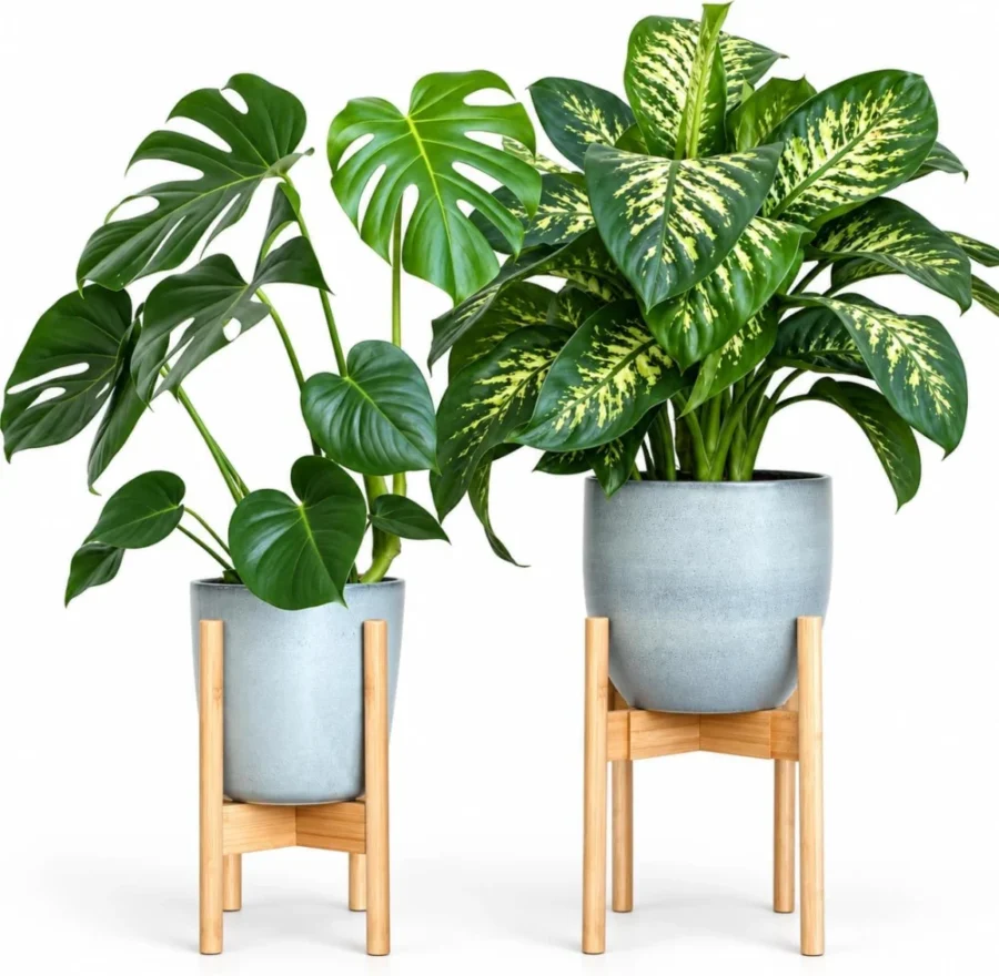 Lot de 2 supports à plantes en bambou réglables