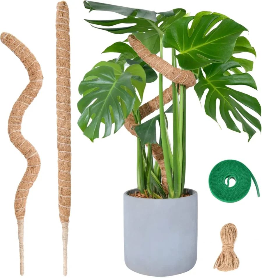 Lot de 2 tuteurs en fibre de coco pour monstera, 60 cm