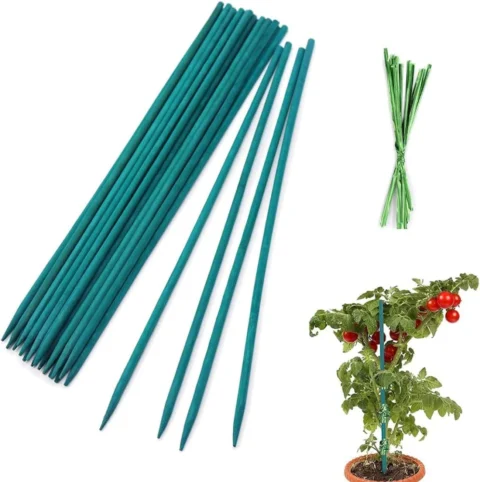 Lot de 25 tuteurs en bambou vert 30 cm avec attaches