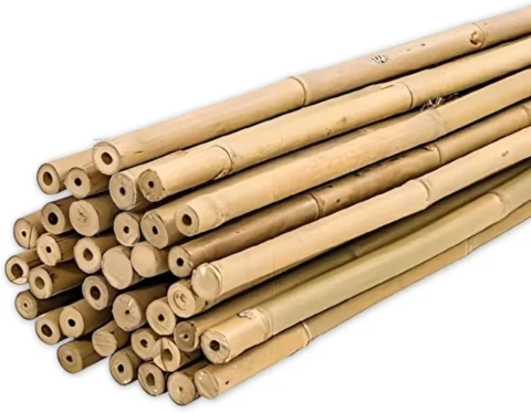 Lot de 25 tuteurs en bambou verts 90 cm pour potager