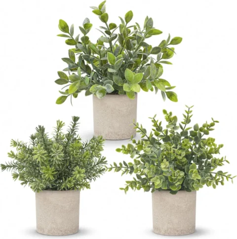 Lot de 3 mini eucalyptus artificiels en pot, 24 cm