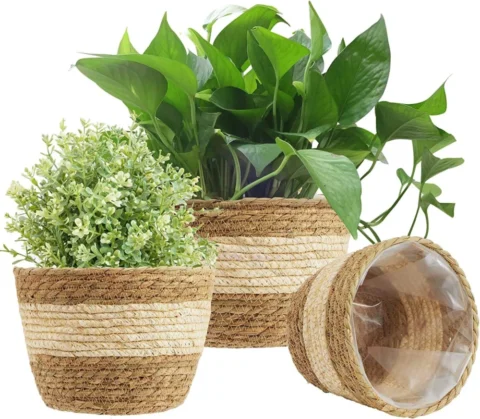 Lot de 3 paniers tressés en jonc de mer, beige