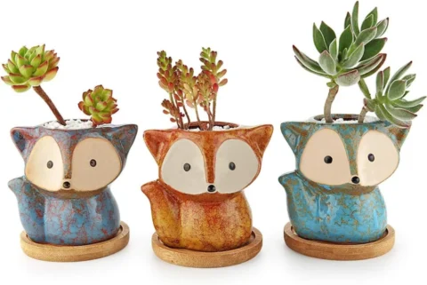 Lot de 3 petits pots à cactus en forme de renard, 10 cm