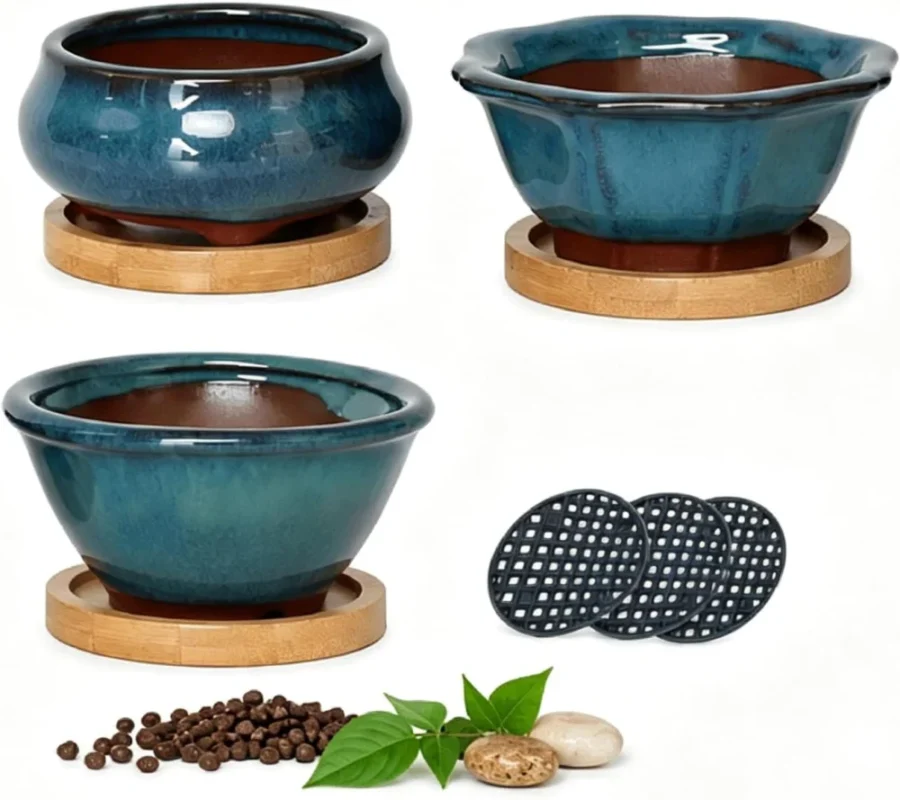Lot de 3 pots à bonsaï turquoise avec plateaux bambou